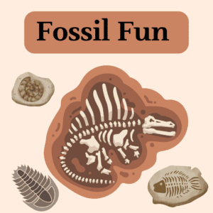 Fossil Fun Icon