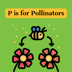 P is for Pollinators Icon