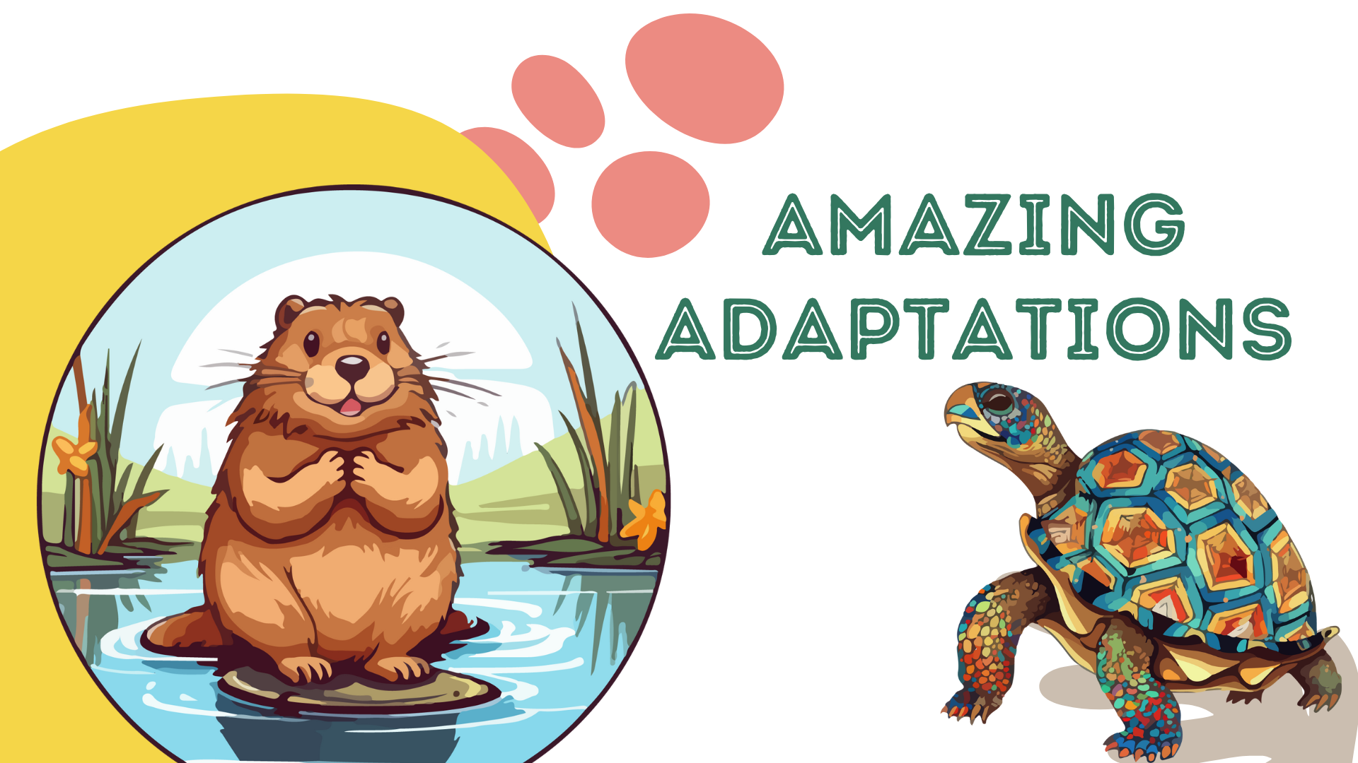 Amazing Adaptations