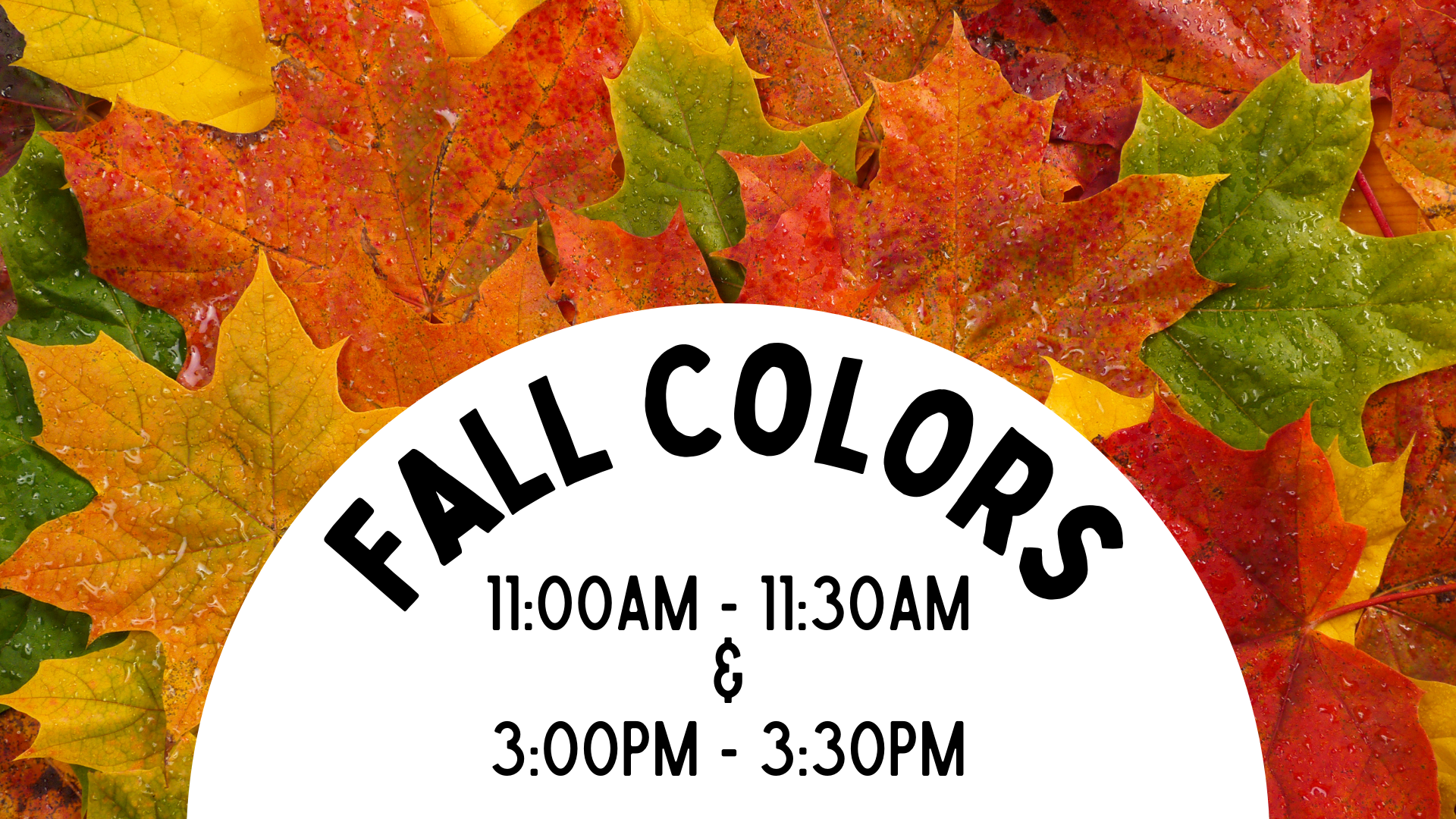 Fall Colors