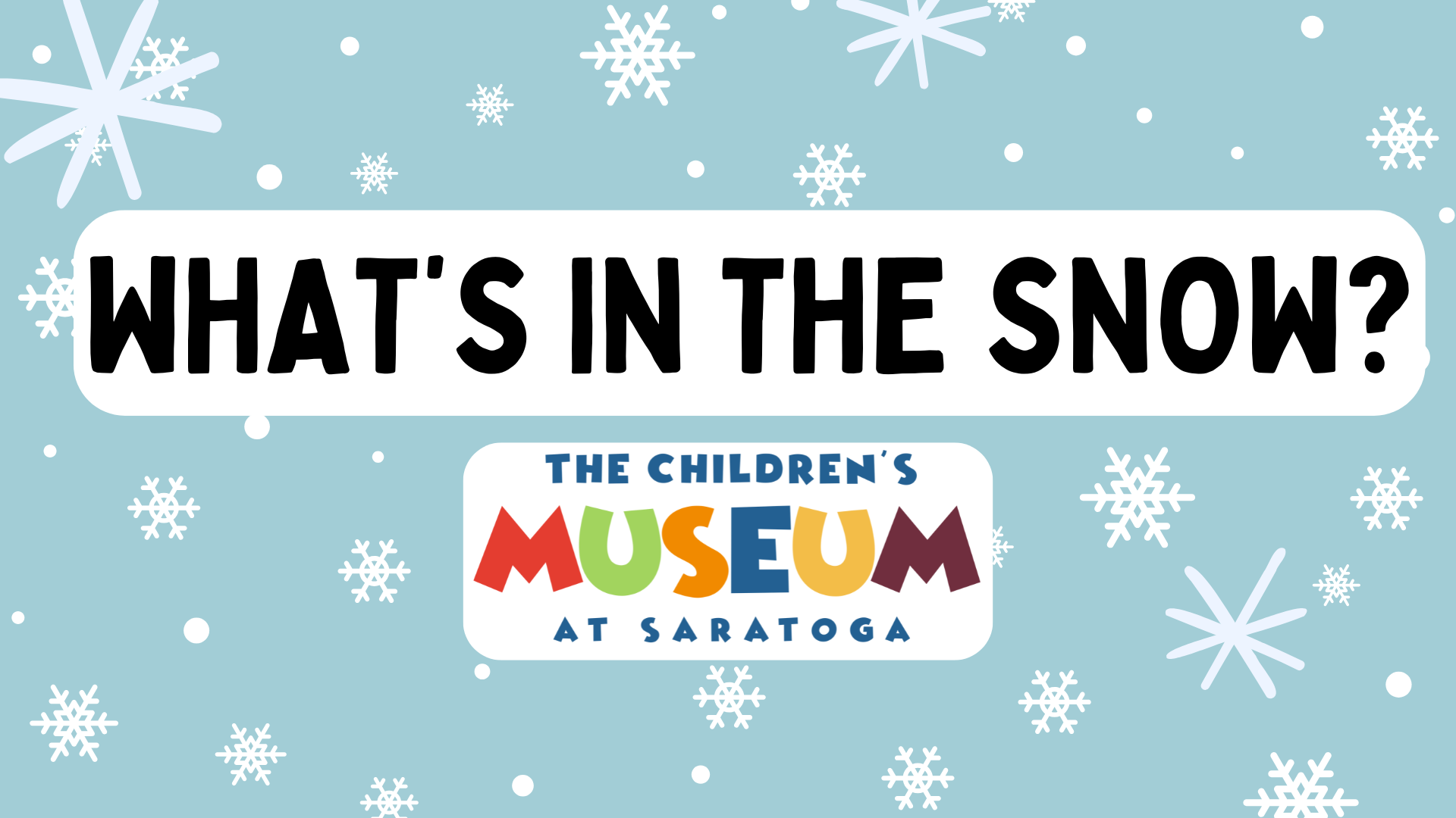 What’s in the Snow