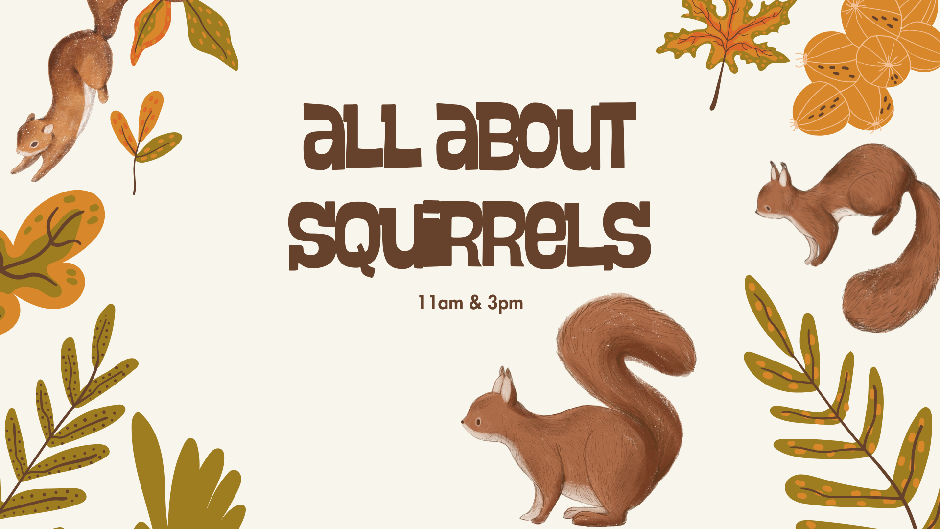 all about squirrels (1)
