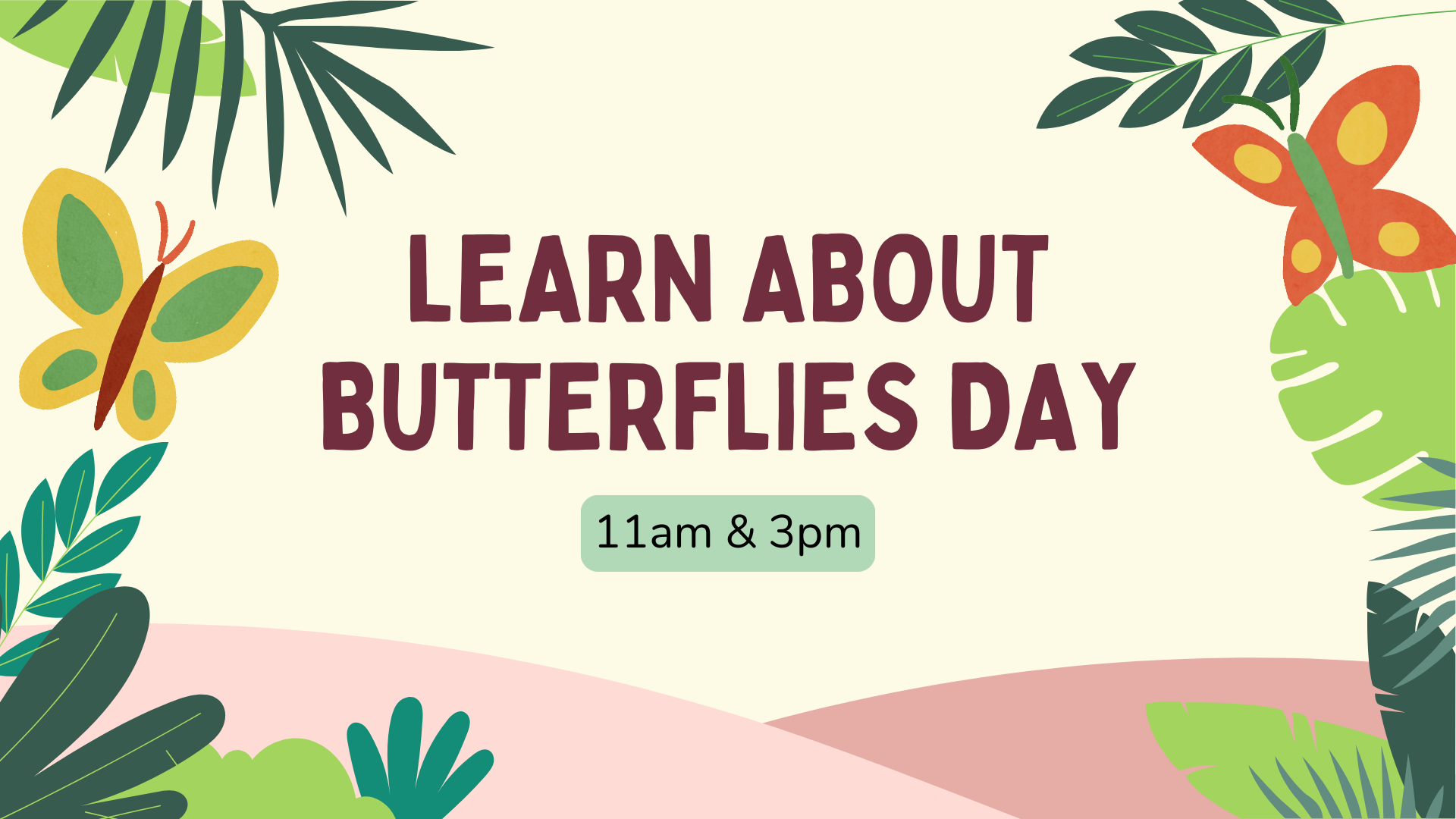 Learn About Butterflies Day