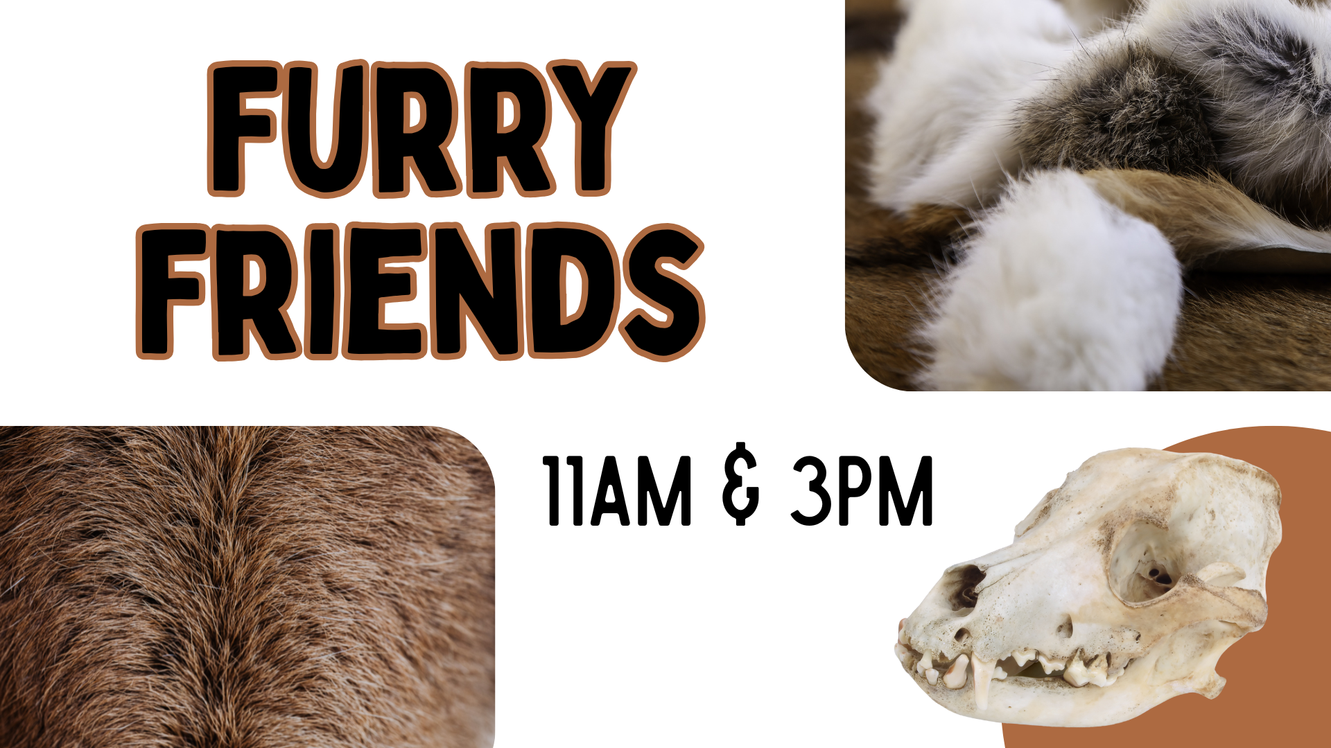 Furry Friends