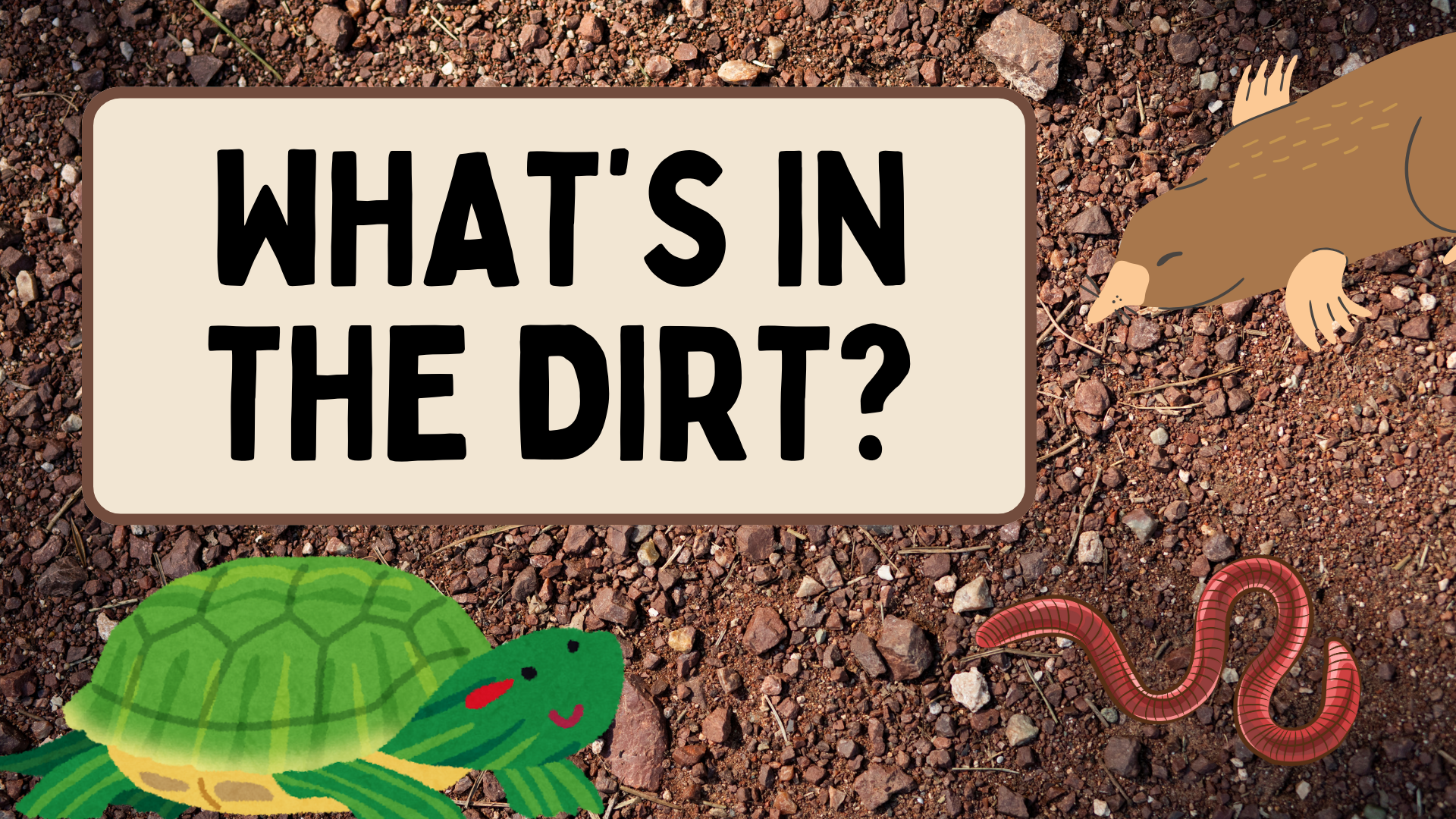 What’s in the dirt