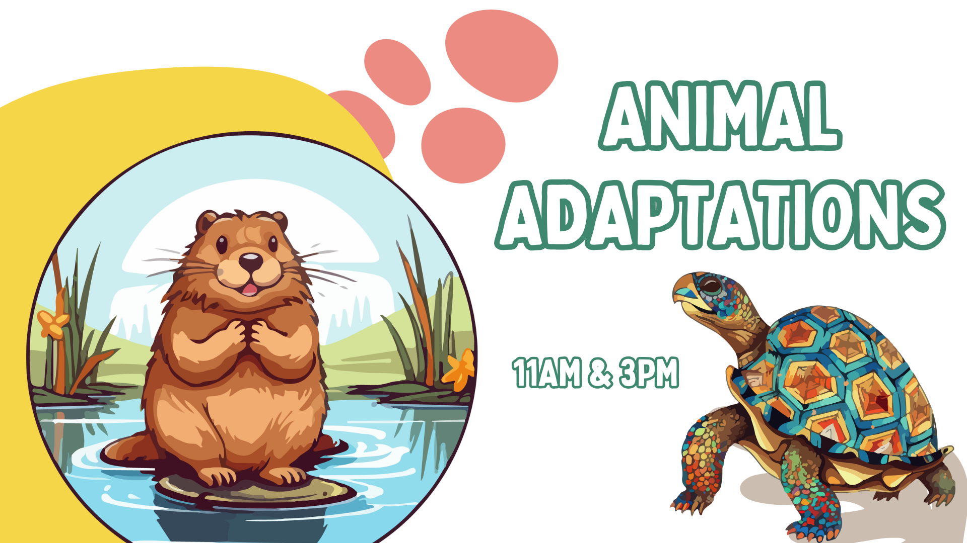 Amazing Adaptations, 11am & 3pm