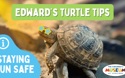 Edward’s Turtle Tips – Sun Safety