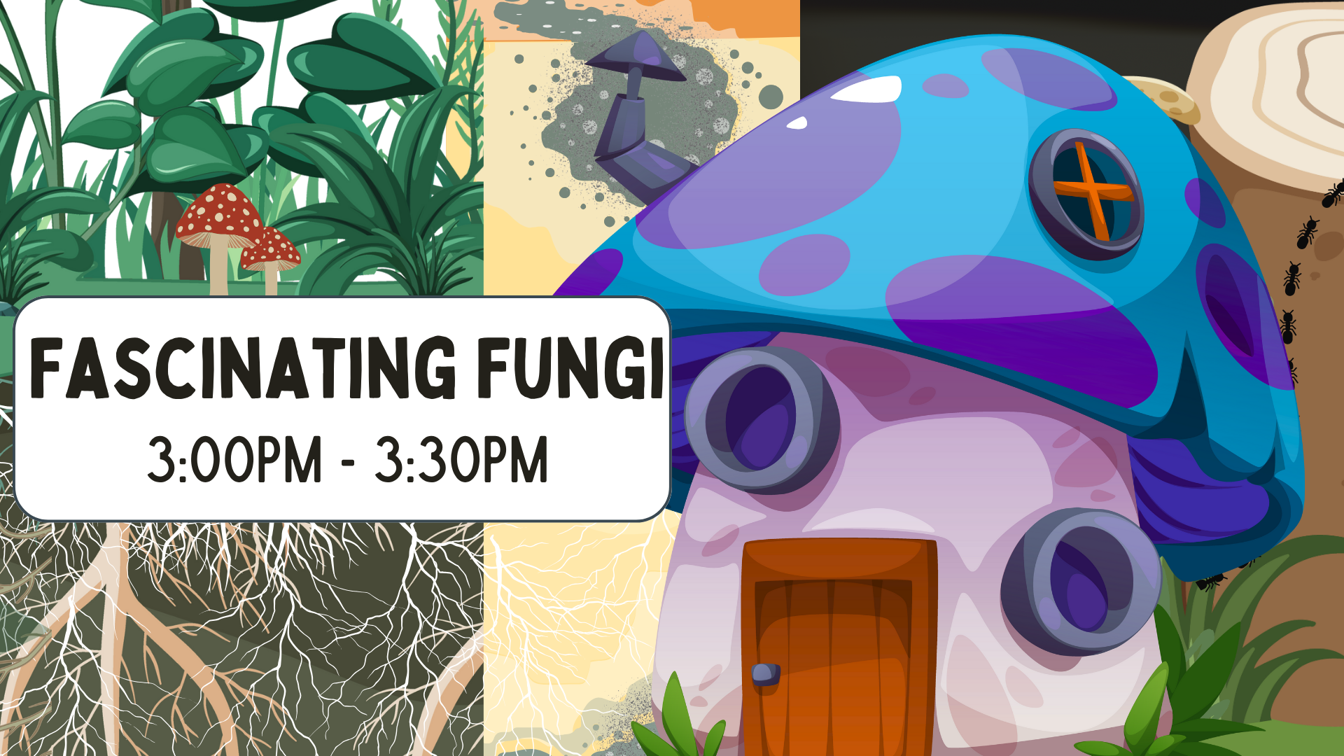Fascinating Fungi