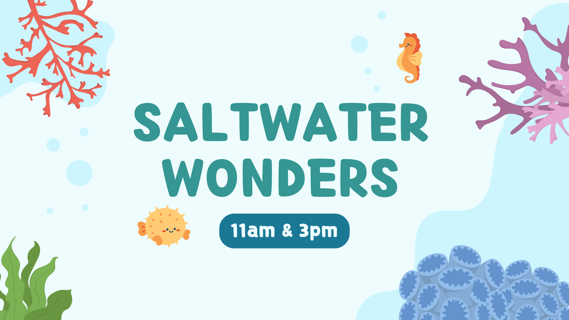 Saltwater Wonders