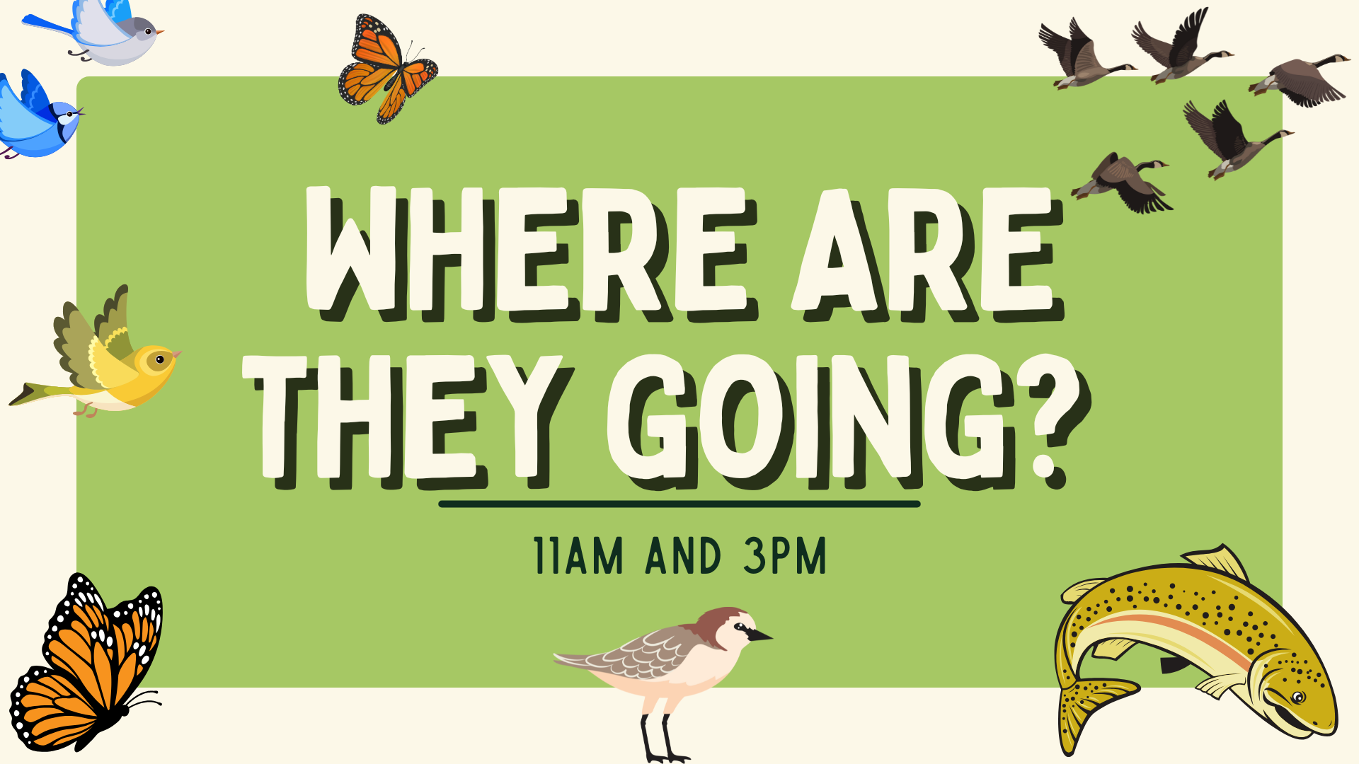Where are they going – Migration (1)