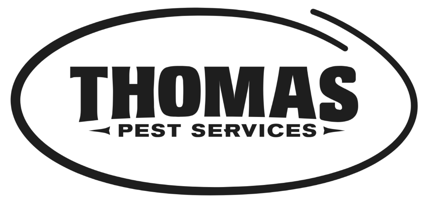 Full Circle 2 - BW (1)